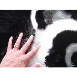 Walk On Me Faux Fur Super Soft Kids Panda Bear Rug Tufted With Non-slip Backing Area Rug -Children Furniture Store GUEST 121d6a53 8c22 47a5 b81d 41e68381e45a