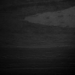 Induzy Solid Wood Bunk Beds Matte Black - South Shore 18 Induzy Solid Wood Bunk Beds Matte Black - South Shore -Children Furniture Store GUEST 434e89c4 0424 4882 803c 016cb10613e9