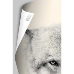 Trends International Disney Pixar Turning Red - 4-Town Tween Beat Unframed Wall Poster Prints -Children Furniture Store GUEST 56d31d4e 82a0 4384 abb9 92c9c4c39526 1